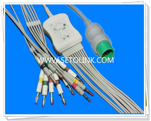 Spacelabs One Piece ECG Cable 10 Leadwires